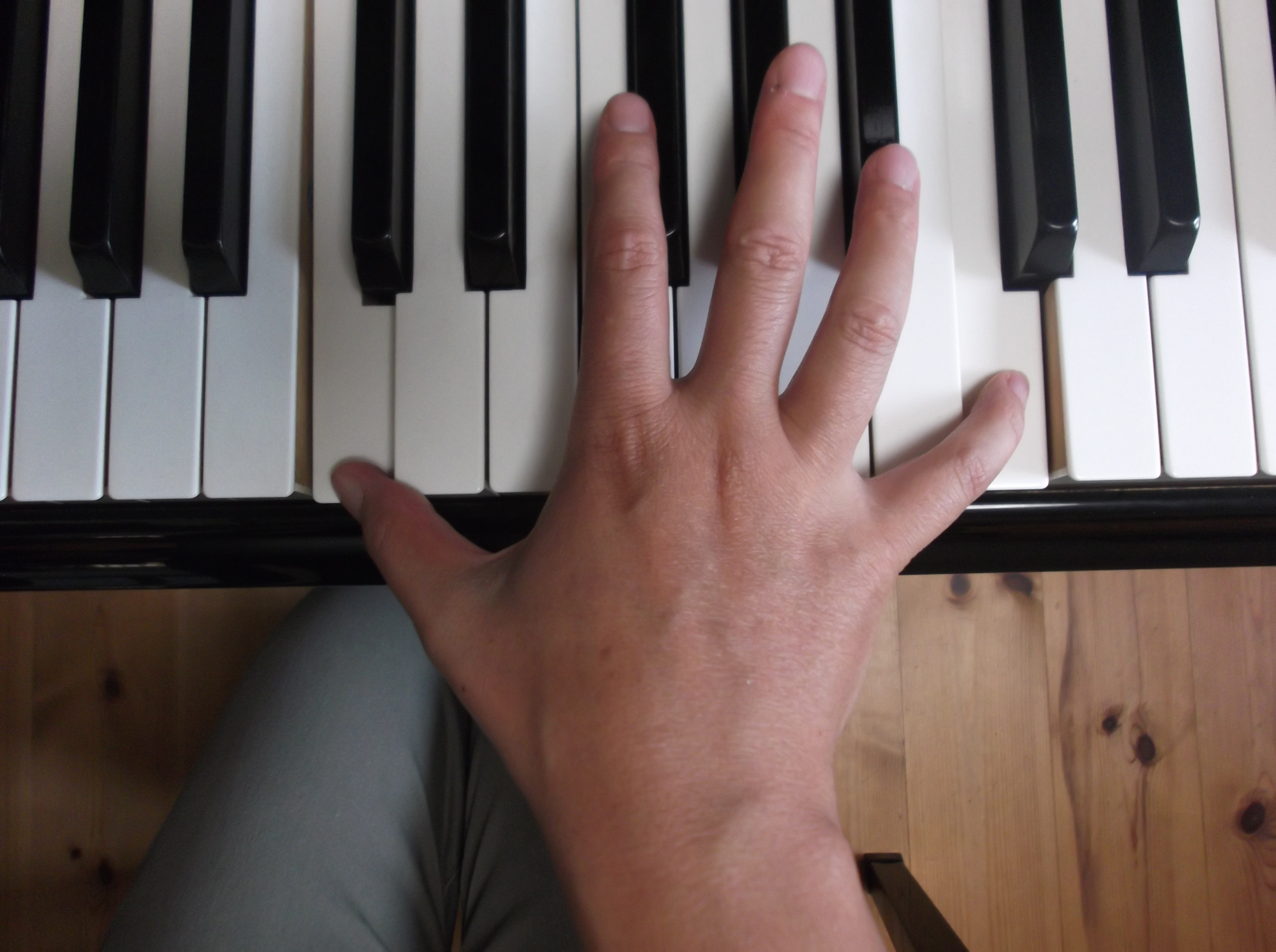 ピアノでオクターブが届かない 手の形 開き方 弾き方を解説 だいすきおんがく